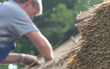 professional Millook thatchers